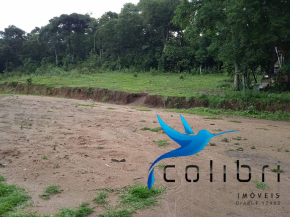 Imagem Terreno à Venda, 3.785 m² em Pinheiro Ocado - Agudos Do Sul