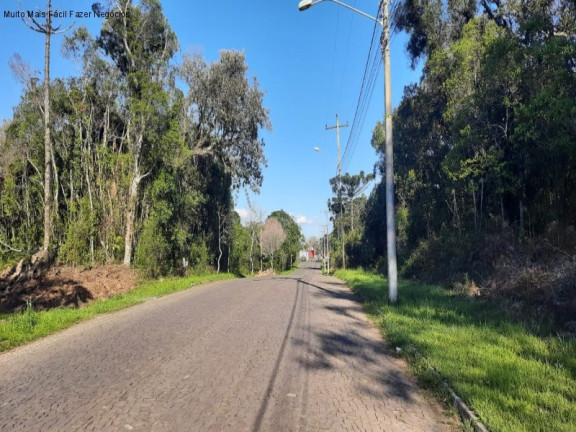 Imagem Terreno à Venda, 848 m² em Vila Germânia - Nova Petrópolis Imagem Terreno à Venda, 848 m² em Vila Germânia - Nova Petrópolis