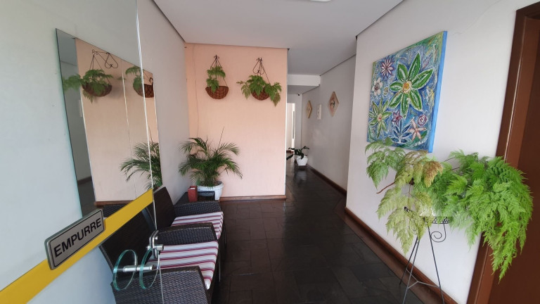 Imagem Apartamento com 2 Quartos à Venda, 65 m² em Vila Polopoli (rio Pequeno) - São Paulo Imagem Apartamento com 2 Quartos à Venda, 65 m² em Vila Polopoli (rio Pequeno) - São Paulo