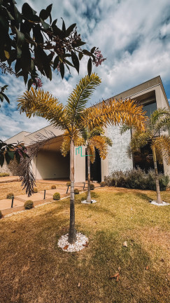 Casa com 3 Quartos à Venda,  em Villa Piemonte Ii - Franca