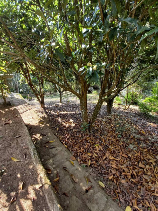 Imagem Casa com 3 Quartos à Venda, 18 m² em Chácara Paraíso - Nova Friburgo