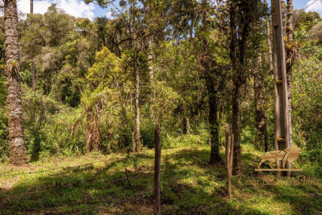 Imagem Terreno à Venda, 3.132 m² em Campos Do Jordão Imagem Terreno à Venda, 3.132 m² em Campos Do Jordão