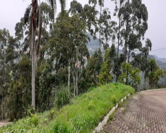 Imagem Imóvel à Venda, 455 m² em Piá - Nova Petrópolis