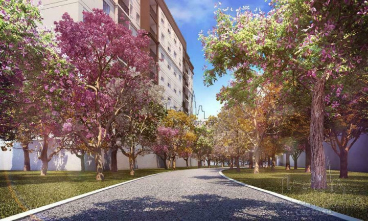 Imagem Apartamento com 2 Quartos à Venda, 65 m² em Lapa - São Paulo