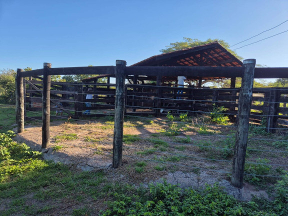 Imagem Fazenda à Venda, 350 m² em Cuiabá