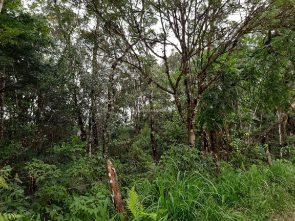 Imagem Fazenda à Venda, 127.997 m² em Pacotuba - Almirante Tamandaré Imagem Fazenda à Venda, 127.997 m² em Pacotuba - Almirante Tamandaré