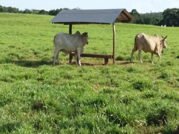 Imagem Fazenda à Venda, 3.700.000 m² em Zona Rural - Acorizal
