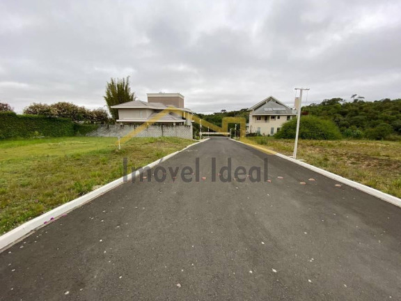 Imagem Terreno à Venda, 1.744 m² em São Gabriel - Colombo Imagem Terreno à Venda, 1.744 m² em São Gabriel - Colombo