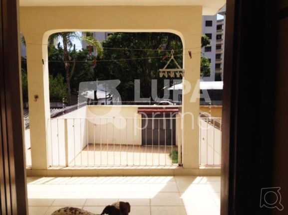 Imagem Casa com 4 Quartos à Venda, 251 m² em Jardim São Paulo - São Paulo Imagem Casa com 4 Quartos à Venda, 251 m² em Jardim São Paulo - São Paulo