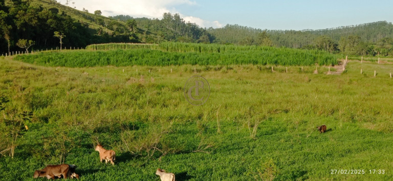 Imagem Fazenda à Venda, 1.010.000 m² em Jardim São Dimas - São José Dos Campos Imagem Fazenda à Venda, 1.010.000 m² em Jardim São Dimas - São José Dos Campos