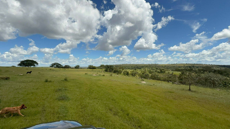 Imagem Fazenda à Venda, em Bom Jardim De Goiás Imagem Fazenda à Venda, em Bom Jardim De Goiás