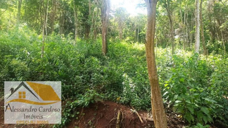 Imagem Terreno à Venda, 1.570 m² em Parque Dom João Vi - Nova Friburgo