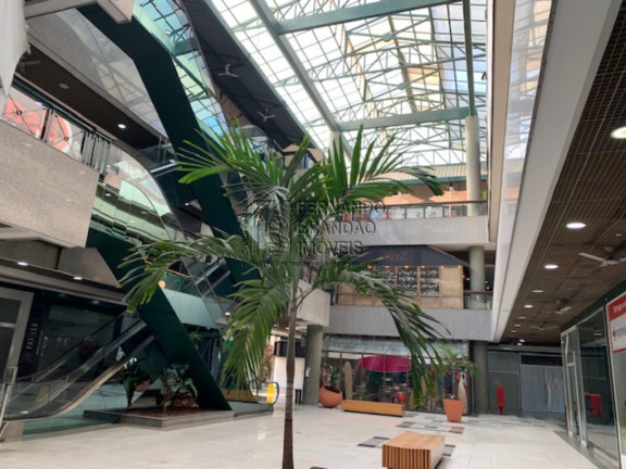 Imagem Imóvel para Alugar, 76 m² em Barra Da Tijuca - Rio De Janeiro