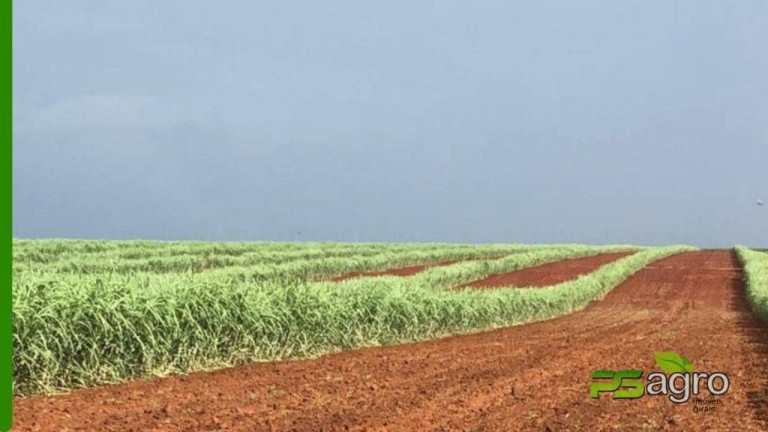 Imagem Fazenda à Venda, 150.766 m² em Centro - Itapura