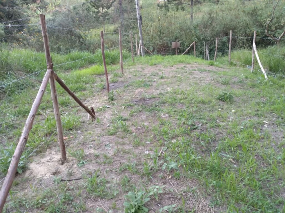 Imagem Terreno à Venda, em Parque Rizzo - Cotia Imagem Terreno à Venda, em Parque Rizzo - Cotia