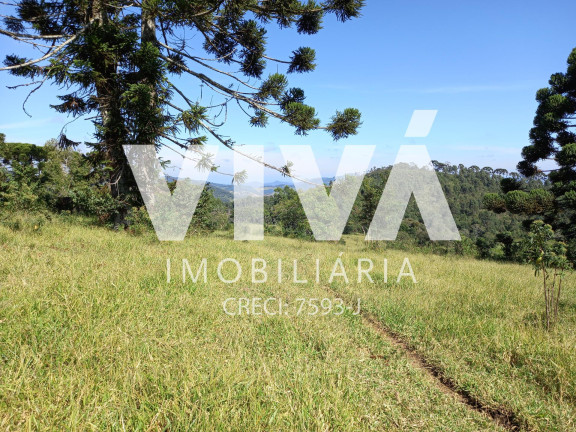 Imagem Fazenda à Venda, 338.800 m² em Rural - Pedra Bela Imagem Fazenda à Venda, 338.800 m² em Rural - Pedra Bela