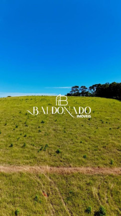 Imagem Terreno à Venda, 9.050 m² em Centro - Toledo