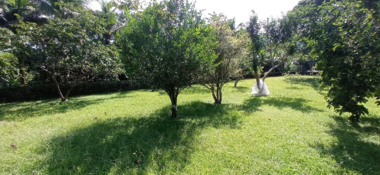 Imagem Terreno à Venda, 400 m² em Praia Da Lagoinha - Ubatuba Imagem Terreno à Venda, 400 m² em Praia Da Lagoinha - Ubatuba
