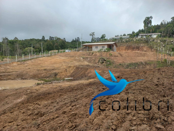 Imagem Chácara com 3 Quartos à Venda, 4.612 m² em Ribeirão Grande - Agudos Do Sul