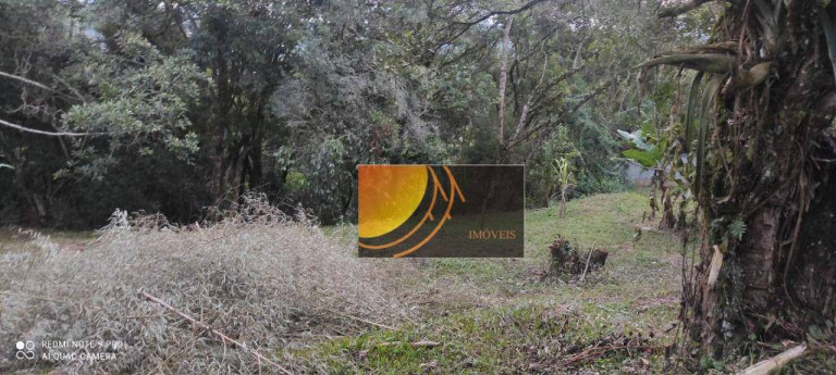 Imagem Terreno à Venda, 1.468 m² em Itapeva - Itapeva Imagem Terreno à Venda, 1.468 m² em Itapeva - Itapeva