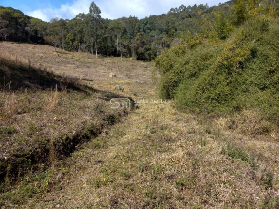 Imagem Imóvel à Venda, 45.900 m² em Bairro Da Estaca - Itamonte
