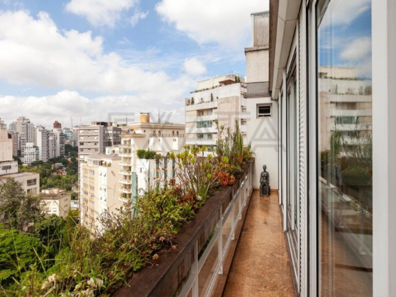 Imagem Imóvel com 3 Quartos à Venda, 375 m² em Higienópolis - São Paulo Imagem Imóvel com 3 Quartos à Venda, 375 m² em Higienópolis - São Paulo