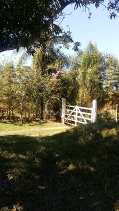 Imagem Chácara com 3 Quartos à Venda, 43.000 m² em Artur Nogueira