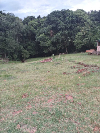 Imóvel com 2 Quartos à Venda, 5.000 m² em Centro - Ibirubá