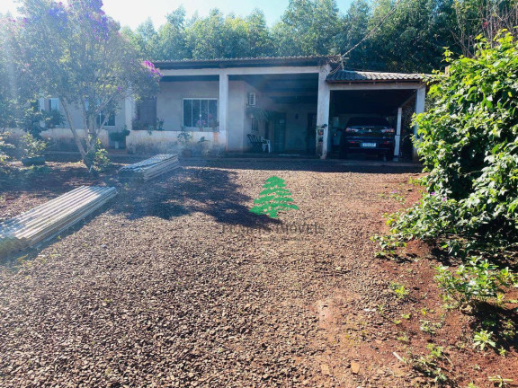 Imagem Chácara com 3 Quartos à Venda, 3.870 m² em Aparecidinha - Santa Terezinha De Itaipu