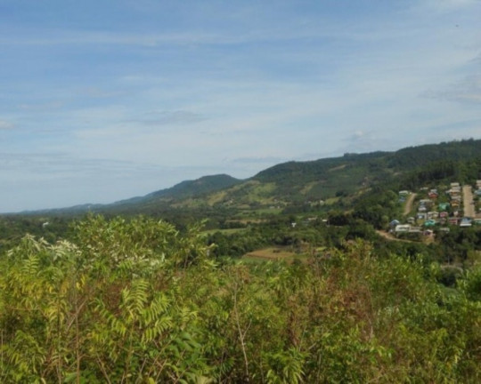 Imagem Terreno à Venda, 7 m² em Lichthenthal - Picada Café