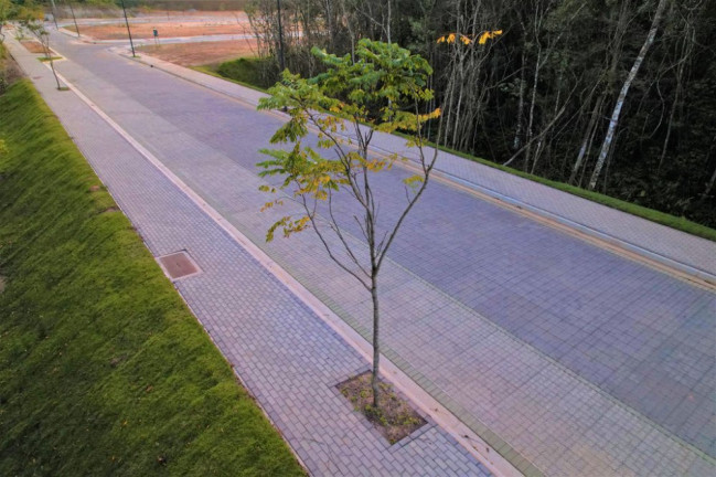 Imagem Imóvel à Venda, 111 m² em Várzea Do Ranchinho - Camboriú