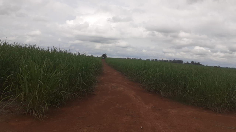 Imagem Fazenda à Venda, 307 m² em Rural - Tatuí Imagem Fazenda à Venda, 307 m² em Rural - Tatuí