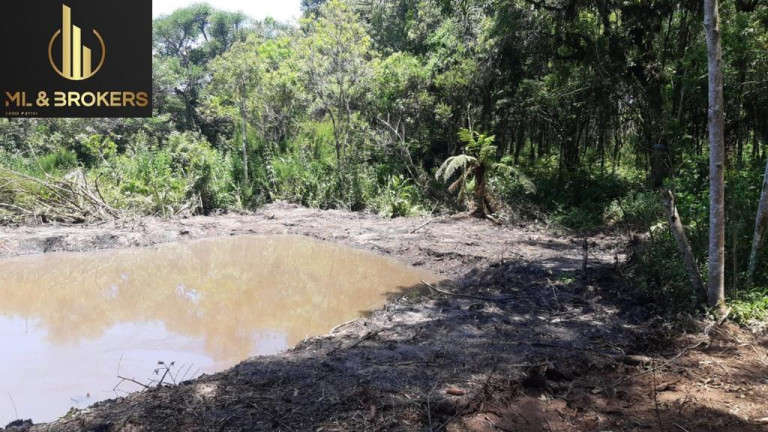 Imagem Imóvel à Venda, 20.000 m² em Quitandinha - Quitandinha Imagem Imóvel à Venda, 20.000 m² em Quitandinha - Quitandinha