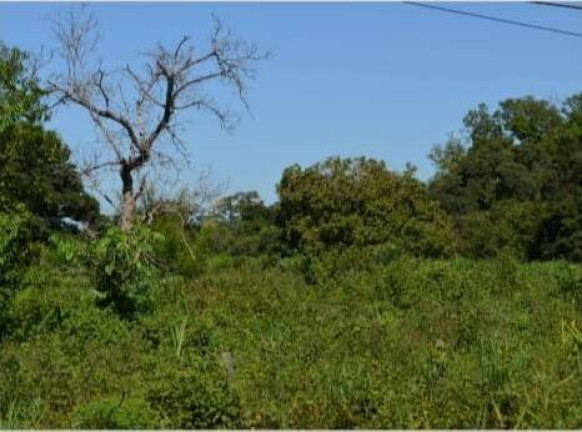 Imagem Terreno à Venda, 120 m² em Distrito Industrial - Cuiabá Imagem Terreno à Venda, 120 m² em Distrito Industrial - Cuiabá