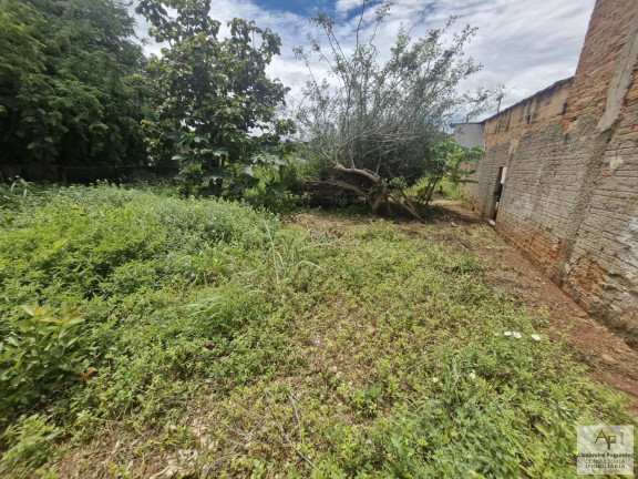 Imagem Terreno à Venda, 360 m² em Jardim Rosa Do Sul - Aparecida De Goiânia
