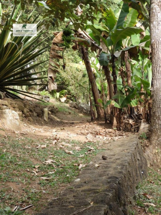 Imagem Chácara com 3 Quartos à Venda, 5.000 m² em Mailasqui - São Roque Imagem Chácara com 3 Quartos à Venda, 5.000 m² em Mailasqui - São Roque