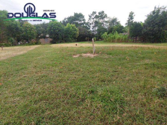 Imagem Chácara à Venda, 20.000 m² em Viamão Imagem Chácara à Venda, 20.000 m² em Viamão
