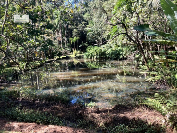 Imagem Chácara com 4 Quartos à Venda, 19.000 m² em Alto Da Serra - São Roque Imagem Chácara com 4 Quartos à Venda, 19.000 m² em Alto Da Serra - São Roque