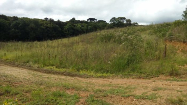 Imagem Terreno à Venda, 37.458 m² em Campo Magro - Campo Magro Imagem Terreno à Venda, 37.458 m² em Campo Magro - Campo Magro