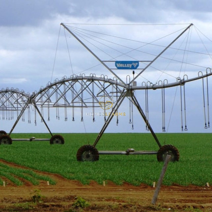 Imagem Imóvel com 3 Quartos à Venda, 11.829 m² em Zona Rural - Jussara