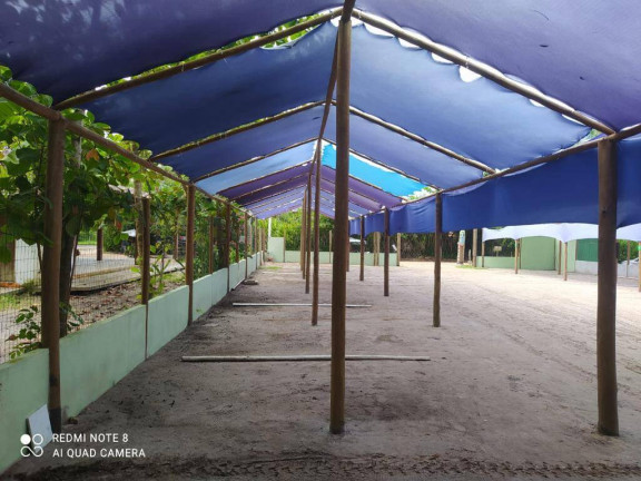 Imagem Sala Comercial à Venda, 700 m² em Taipú De Fora - Marau Imagem Sala Comercial à Venda, 700 m² em Taipú De Fora - Marau
