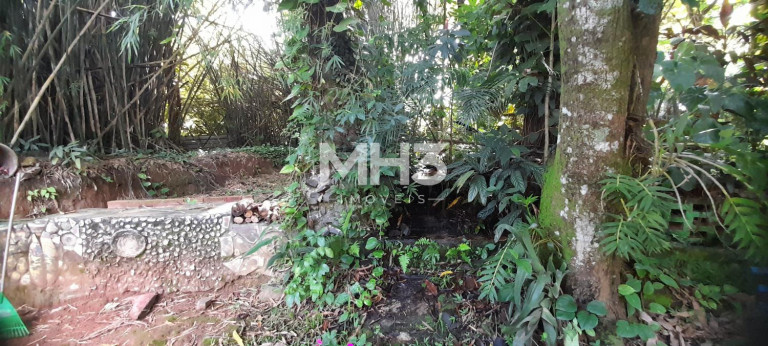 Imagem Imóvel com 4 Quartos à Venda, 300 m² em Santa úrsula - Jaguariúna Imagem Imóvel com 4 Quartos à Venda, 300 m² em Santa úrsula - Jaguariúna