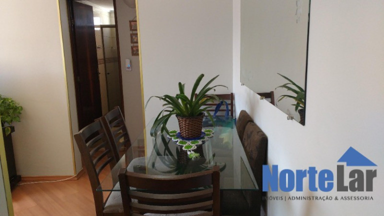 Imagem Apartamento com 2 Quartos à Venda, 50 m² em Jardim Tiro Ao Pombo - São Paulo
