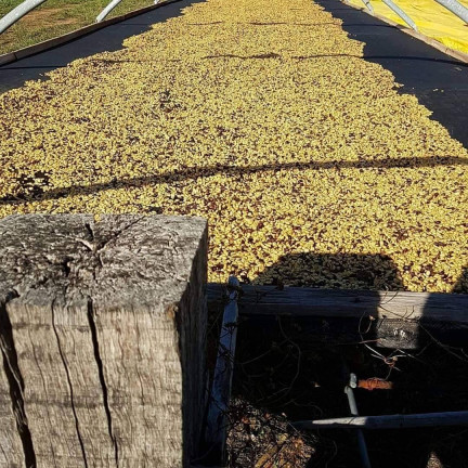 Imagem Fazenda à Venda, 330 m² em Ribeirão Preto Imagem Fazenda à Venda, 330 m² em Ribeirão Preto