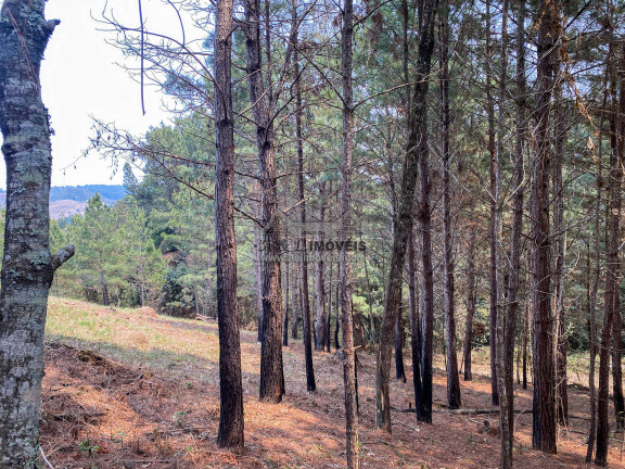 Imagem Terreno à Venda, 1 m² em Vale Encantado - Campos Do Jordão Imagem Terreno à Venda, 1 m² em Vale Encantado - Campos Do Jordão