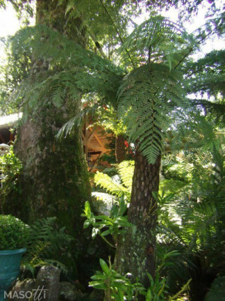 Imagem Casa com 3 Quartos à Venda, 245 m² em Mato Queimado - Gramado