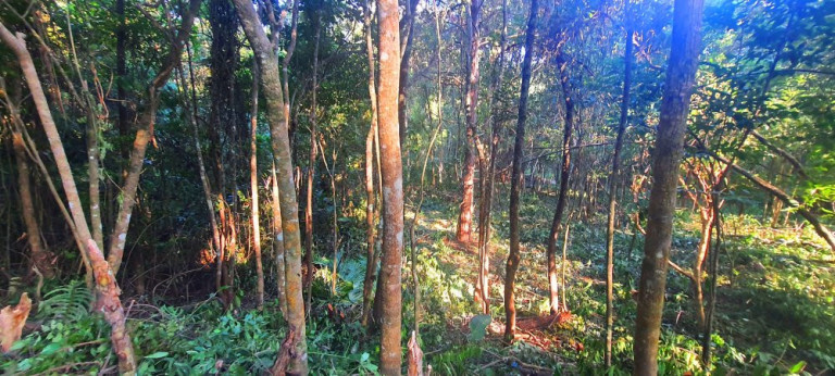 Imagem Imóvel à Venda, 282 m² em Loteamento Bosque Dos Palmares - Atibaia Imagem Imóvel à Venda, 282 m² em Loteamento Bosque Dos Palmares - Atibaia