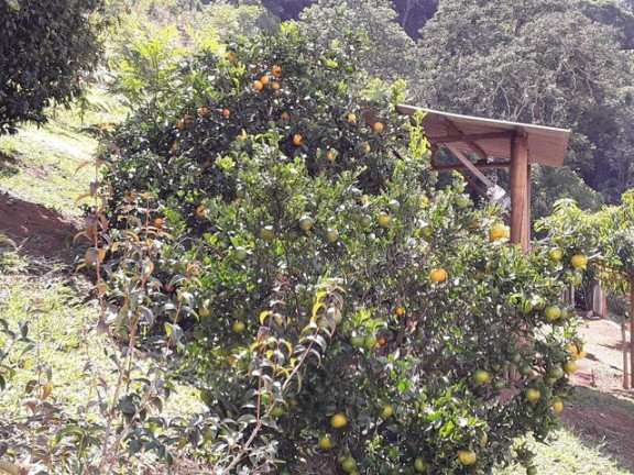 Imagem Fazenda à Venda, 1.000 m² em Silveiras Imagem Fazenda à Venda, 1.000 m² em Silveiras