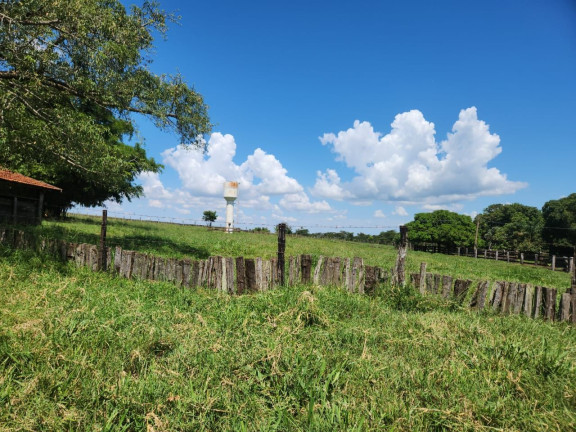 Imagem Fazenda à Venda, 800 m² em Zona Rural - Santo Antônio Do Aracanguá Imagem Fazenda à Venda, 800 m² em Zona Rural - Santo Antônio Do Aracanguá