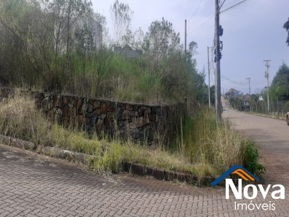 Imagem Imóvel à Venda, 392 m² em Piá - Nova Petrópolis Imagem Imóvel à Venda, 392 m² em Piá - Nova Petrópolis
